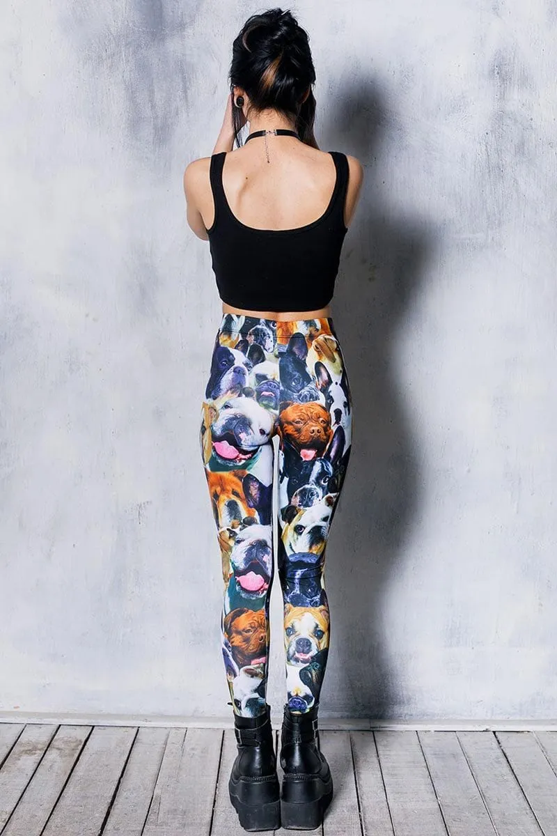 Bulldog Leggings